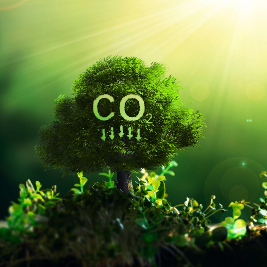 Captura, uso e armazenamento de carbono