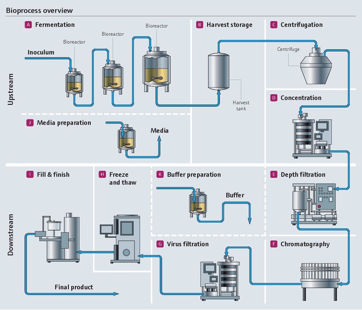 características gerais do bioprocesso