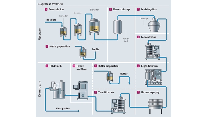 características gerais do bioprocesso