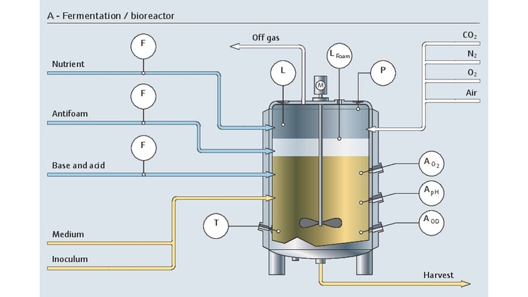 O processo de fermentação a montante em um biorreator com todos os seus pontos de medição relevantes