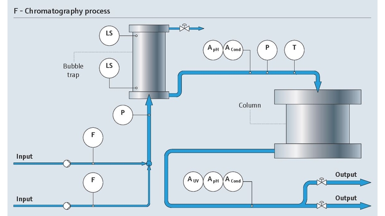 The downstream chromatography process with its relevant measurement points
