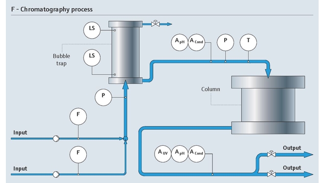 processo de cromatografia