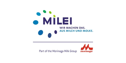 Logo da empresa: MILEI