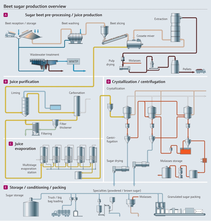 Visão geral do processo de produção de beterraba-sacarina