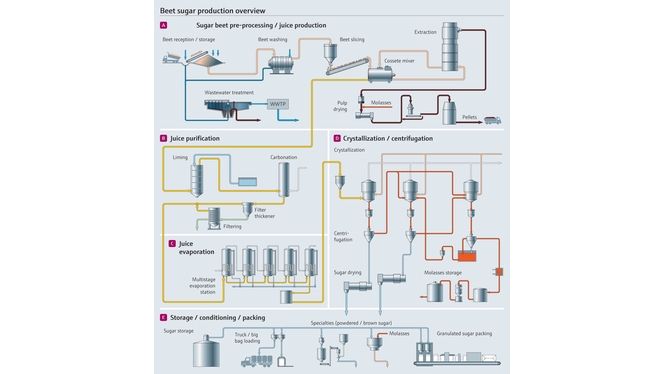 Visão geral do processo de produção de beterraba-sacarina