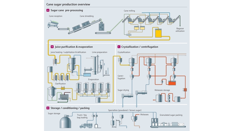 Visão geral do processo de produção da cana-de-açúcar