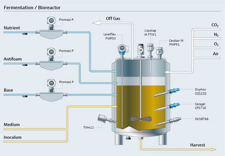 processo de fermentação
