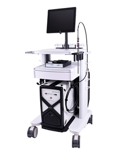 Product Picture Raman Rxn2 on mobile cart