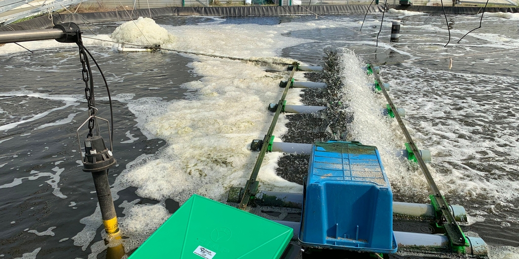 Monitoramento confiável da qualidade da água para garantir o rendimento ideal do produto ao criar camarões em aquaculturas