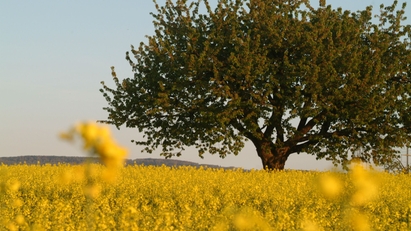 Para nós, o crescimento econômico caminha lado a lado com consciência ecológica e social.