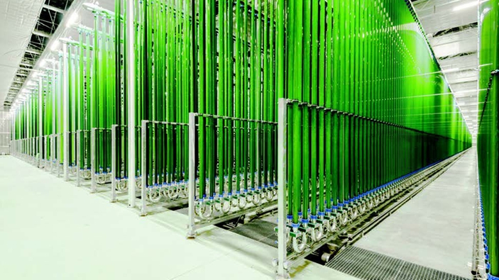 Produção industrial de algas em foto-biorreatores