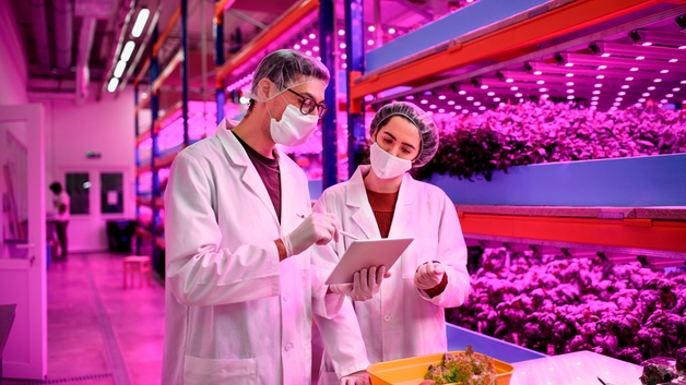 Medição de pH em uma instalação agrícola vertical inteligente para garantir alimentos da melhor qualidade