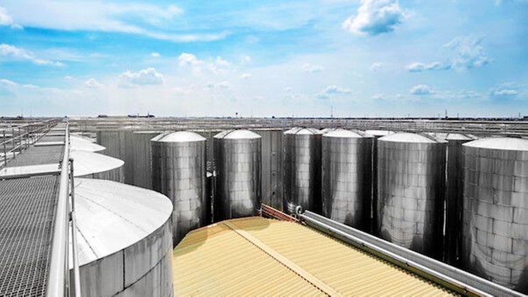 Na unidade da Heineken em Alagoinha – Bahia, os 22 tanques FM possuem volumes que variam entre 1000 e 12000hl.