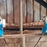 Case Cargill